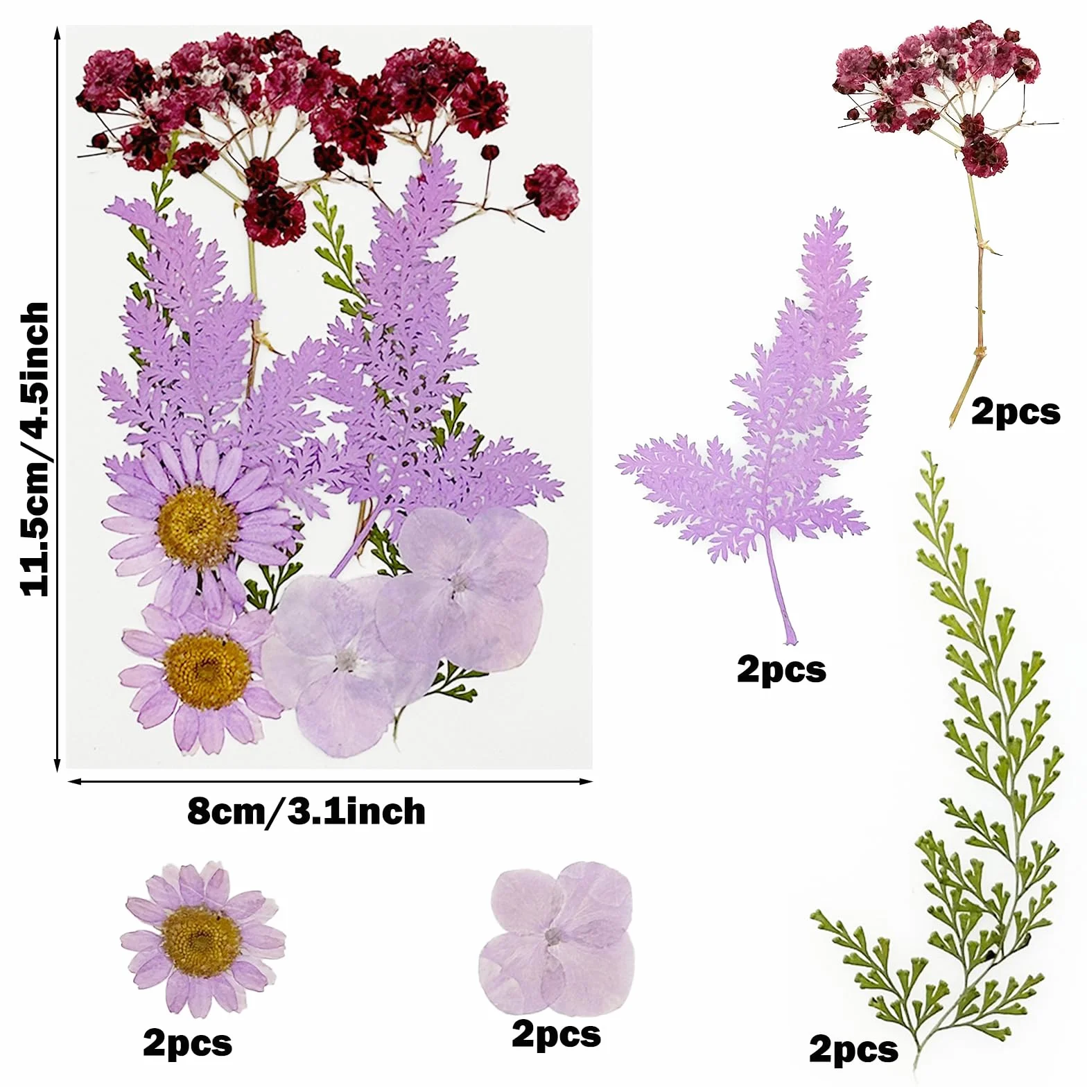 Cayway 40 szt. naturalne suszone kwiaty tłoczone fioletowe naturalne suche liście suszone kwiaty do żywicy do scrapbookingu żywicy epoksydowej biżuteria