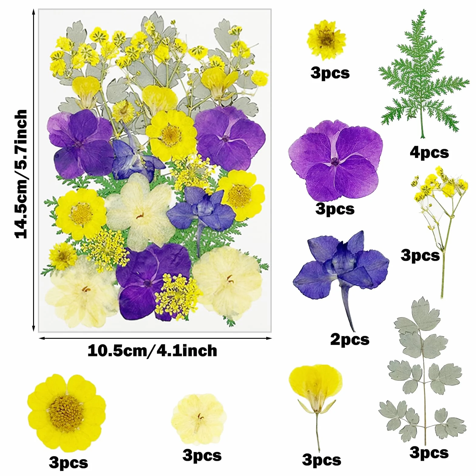 Cayway 40 szt. naturalne suszone kwiaty tłoczone fioletowe naturalne suche liście suszone kwiaty do żywicy do scrapbookingu żywicy epoksydowej biżuteria