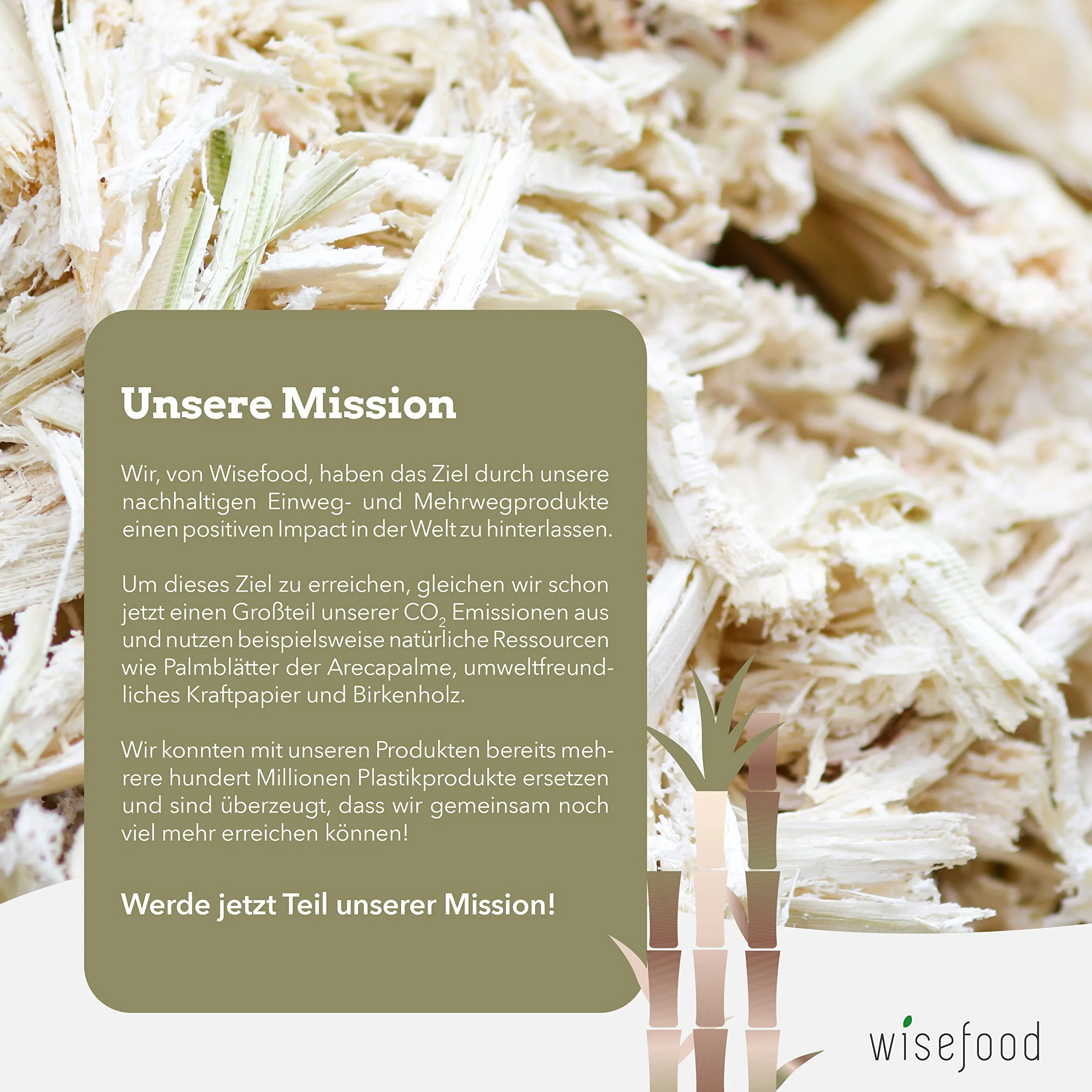 wisefood Zestaw 50 jednorazowych misek na zupę Bababaisse, okrągłe, białe, 350 ml, jednorazowe miski kartonowe, idealne do frytek lub sałatek, biodegradowalna zastawa stołowa z trzciny cukrowej, bez