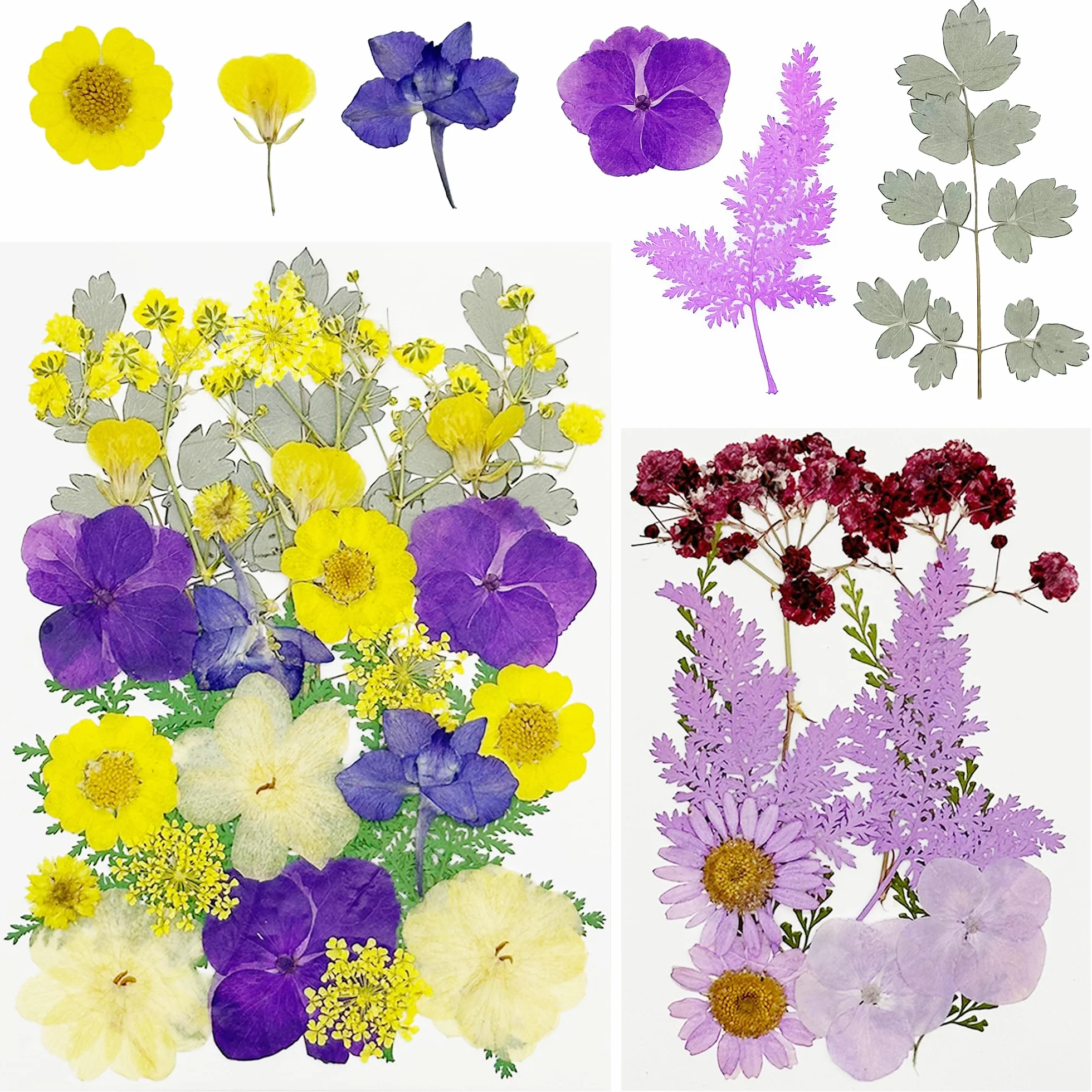 Cayway 40 szt. naturalne suszone kwiaty tłoczone fioletowe naturalne suche liście suszone kwiaty do żywicy do scrapbookingu żywicy epoksydowej biżuteria