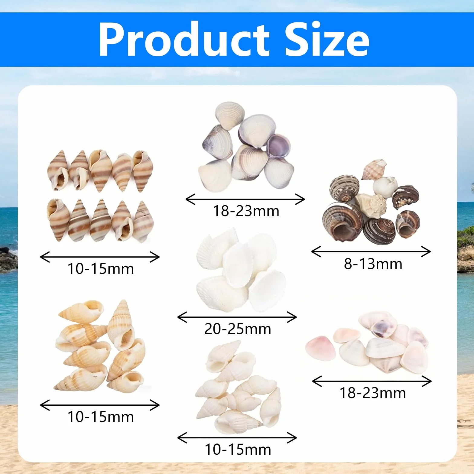 1000 sztuk naturalnych muszli plażowych do majsterkowania, dekoracja do projektów DIY, rozgwiazda do dekoracji domu, na imprezę na plaży i jako dekoracja weselna, 0,5-1,5 cm
