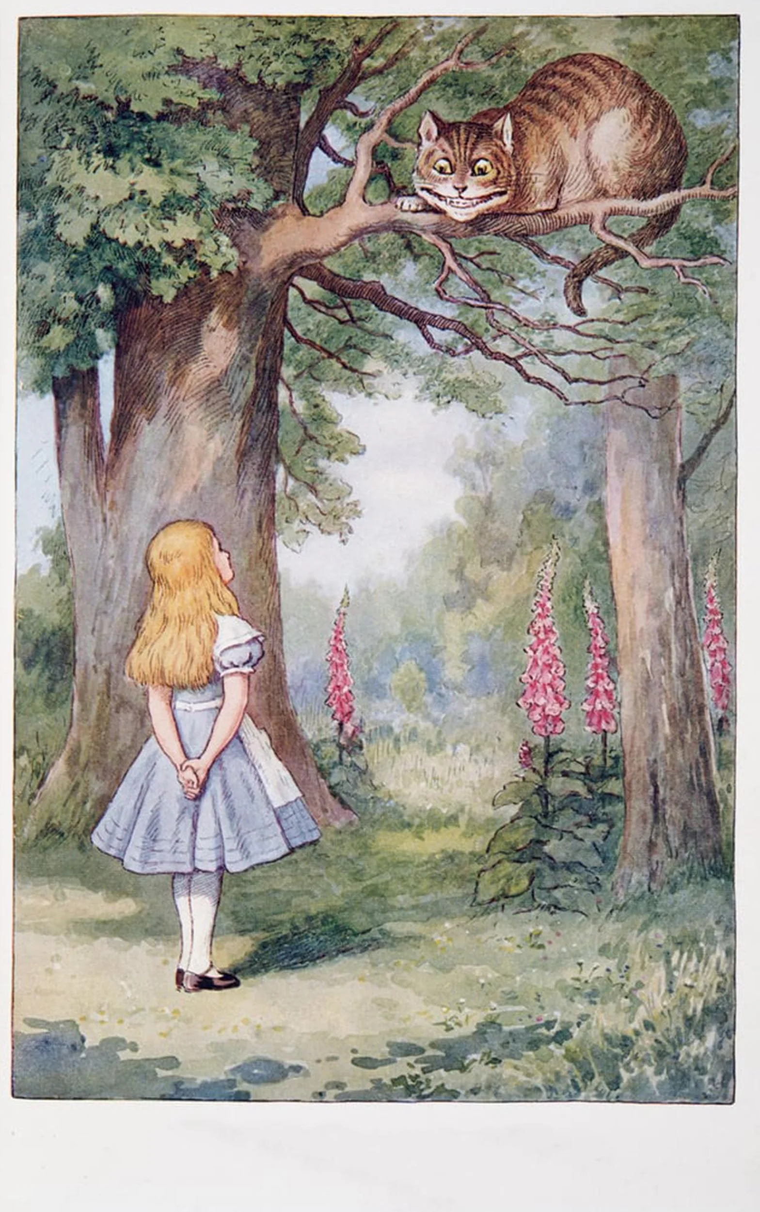 Plakat ścienny sztuka obrazy na płótnie Alicja i kot z Cheshire Tenniel 60x90cm