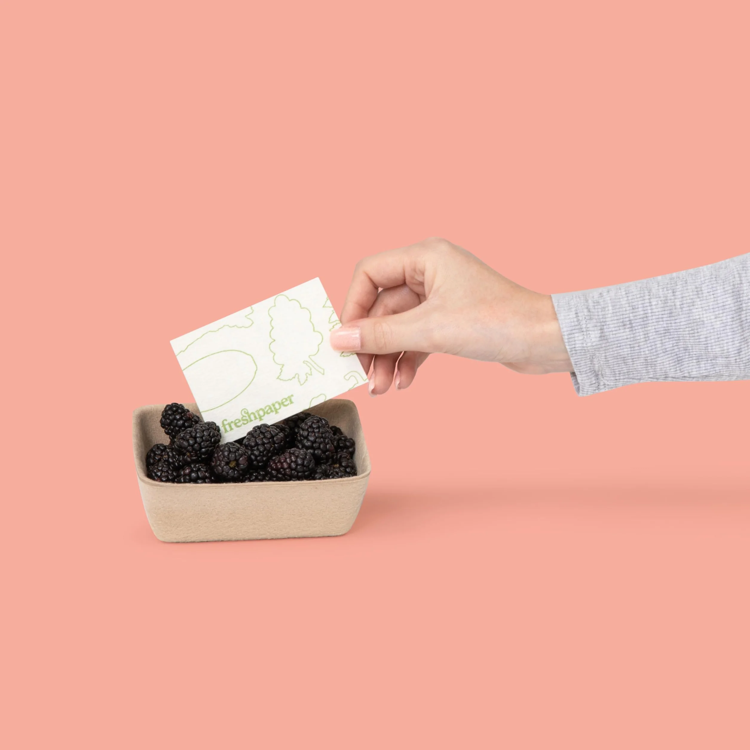 FRESHPAPER utrzymuje świeżość owoców i warzyw przez 2-4 x dłużej, 8 arkuszy wielokrotnego użytku do przechowywania żywności (1 opakowanie), wyprodukowano w USA przez The FRESHGLOW Co