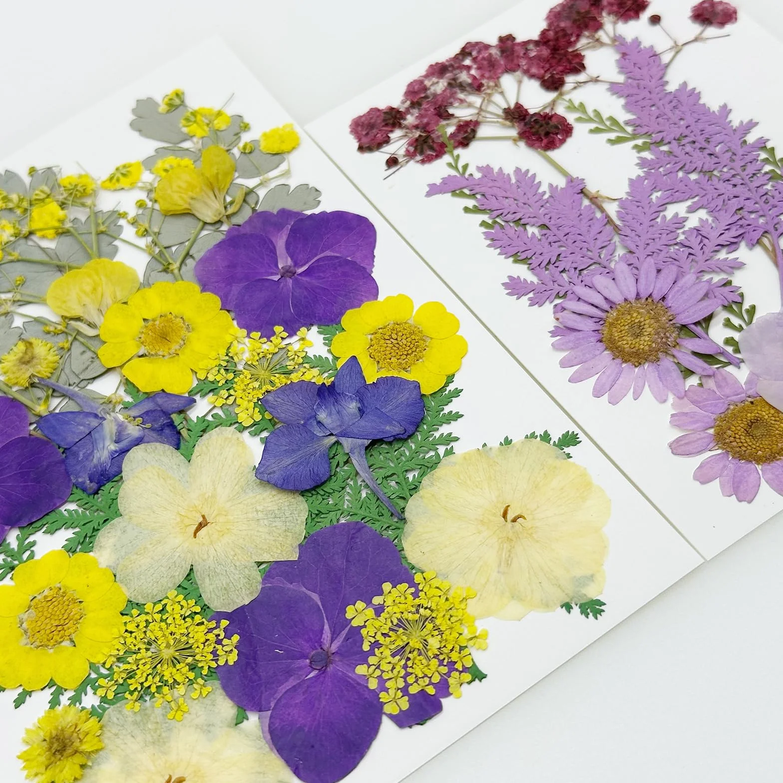 Cayway 40 szt. naturalne suszone kwiaty tłoczone fioletowe naturalne suche liście suszone kwiaty do żywicy do scrapbookingu żywicy epoksydowej biżuteria