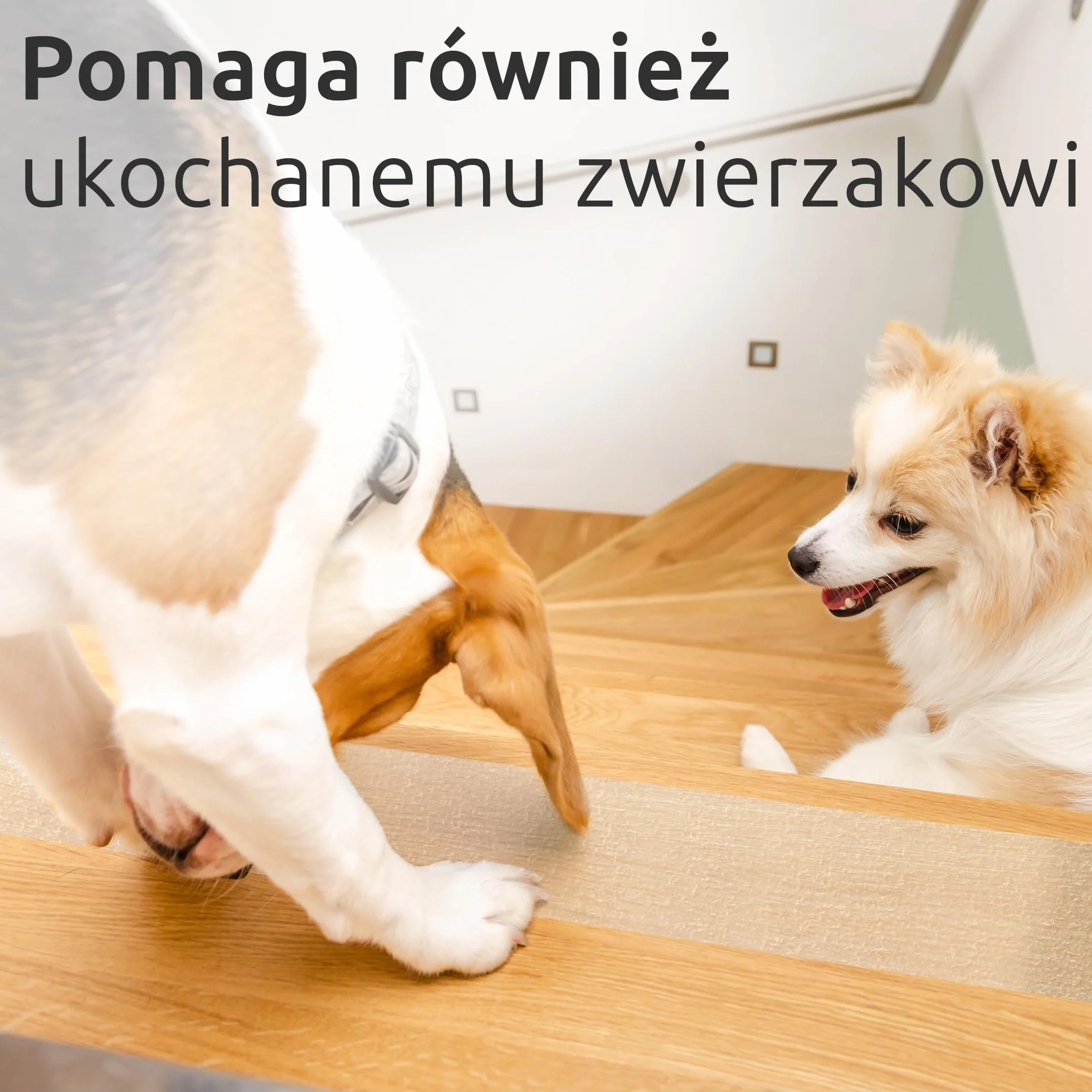 ECENCE 16x Antypoślizgowe Stopnie Schodów Samoprzylepne Maty do Schodów Transparentne Stopnie Schodów dla Ochrony Schodów Zapobiega Poślizgnięciom 60cm/23,6inch