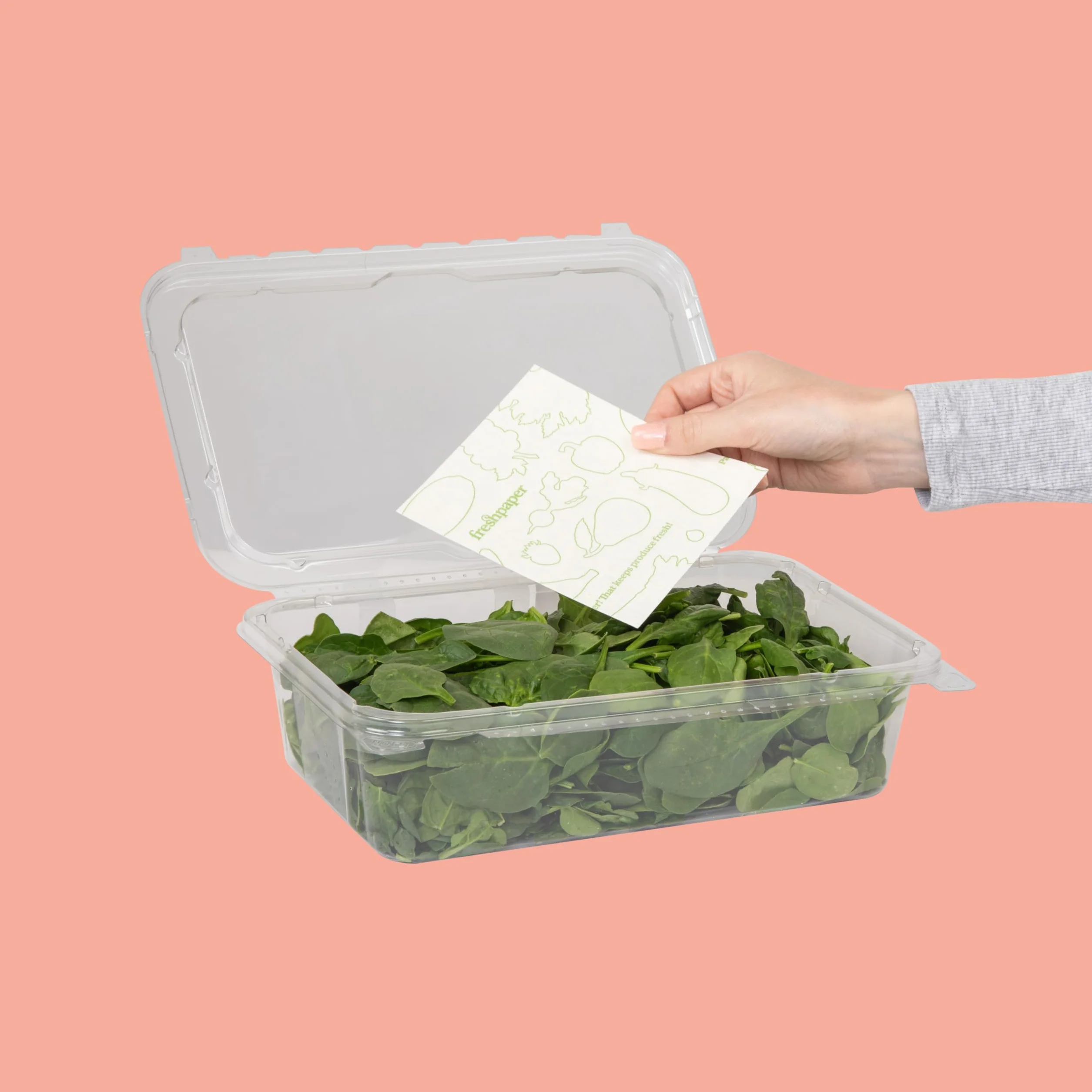 FRESHPAPER utrzymuje świeżość owoców i warzyw przez 2-4 x dłużej, 8 arkuszy wielokrotnego użytku do przechowywania żywności (1 opakowanie), wyprodukowano w USA przez The FRESHGLOW Co